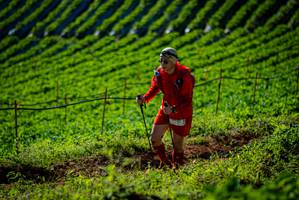 BIB: 
                            <button type="button" onclick="openModal(19160668)" class="btn btn-primary btn-sm float-right btn-popup" data-toggle="modal" data-target=".modal-high-quality">
                        <i class="fas fa-shopping-cart"></i> Add to Cart
                    </button>
                                            <button type="button" onclick="isThisMe(19160668, true)" class="btn btn-success btn-sm float-right btn-popup btn-isme hidden" data-toggle="tooltip" data-placement="bottom" title="นี่คือรูปของคุณใช่ไหม คลิกที่นี่เพื่อเอาเข้าอัลบั้ม">
                        <i class="fas fa-plus"></i> Add to album
                    </button>
                    <button type="button" onclick="isThisMe(19160668, false)" class="btn btn-warning btn-sm float-right btn-popup btn-isnotme hidden">
                        <i class="fas fa-ban"></i> Remove from album
                    </button>